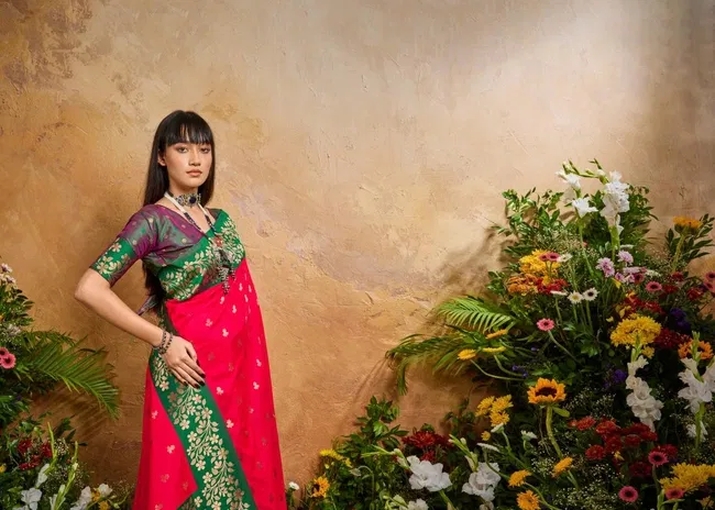 Latest Rajtex Karnation Handloom Weaving Silk Saree Wholesale 2026