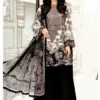Aasha 1197 A And B Chiffon Dupatta Cotton Embroidery Work Salwar Kameez Wholesale