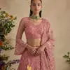 Alizeh 1082 Colours Butterfly Net Designer Lehenga Choli Collection Wholesale
