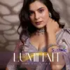 Sethnic Luminah Velvet Satin With Zarkan Border Party Wear Saree Collection Wholesale