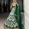WMN 1725 Tasar Silk Printed Lehenga Choli Festive Collection