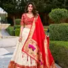 WMN 2022 Paithani Lehenga Choli Online Shopping