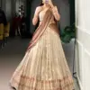 WMN 2025 Dupion Silk Lehenga Choli With Zari Weaving