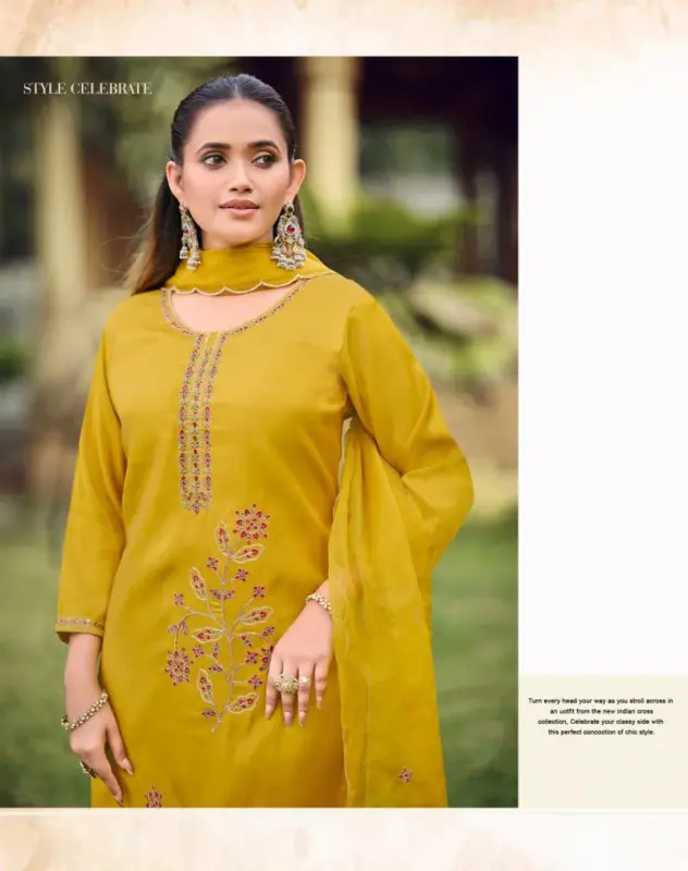 Beautiful Radhika Ruby Vol 1 Roman Embroidered Salwar Kameez Wholesale 2026 11 Beautiful Radhika Ruby Vol 1 Roman Embroidered Salwar Kameez Wholesale 2026